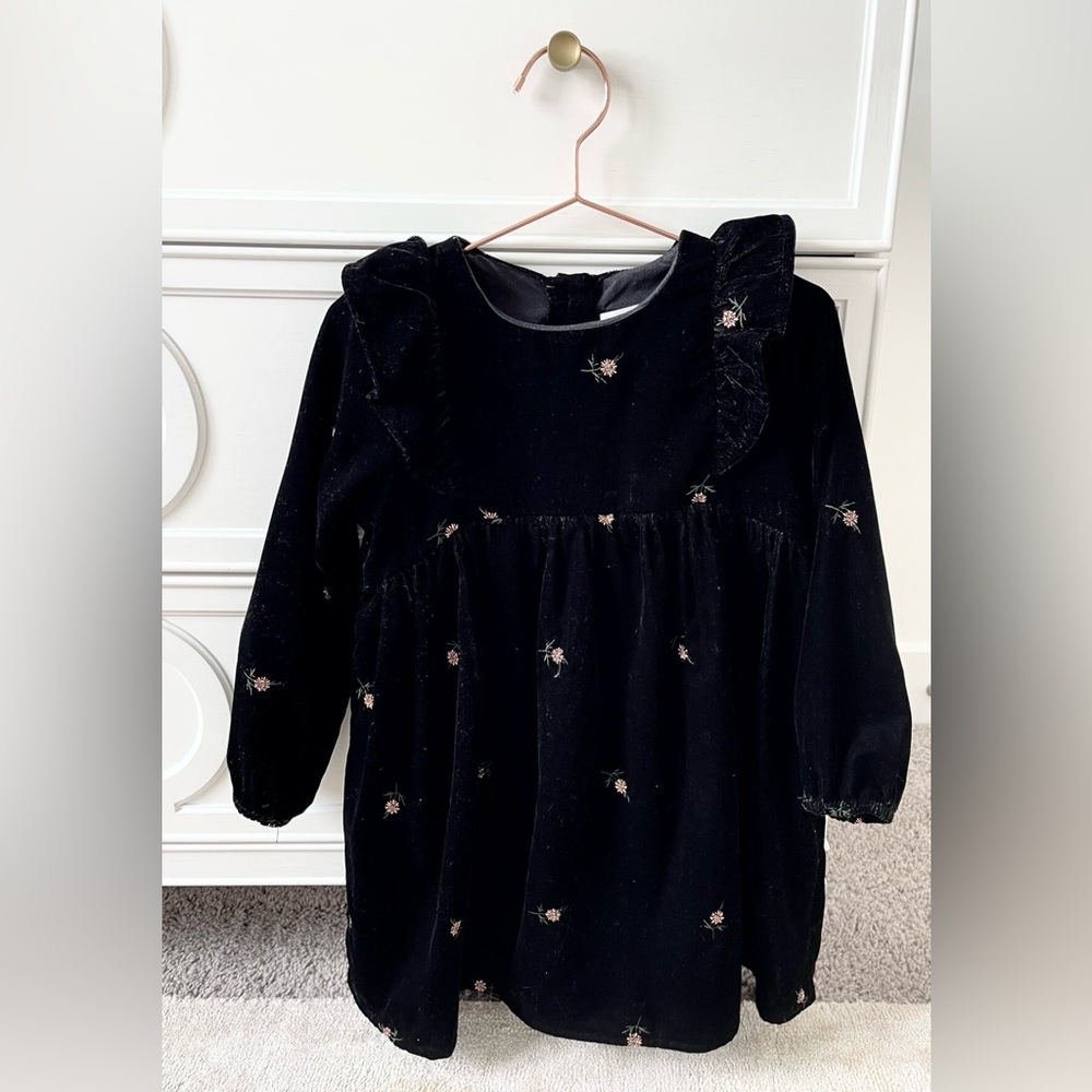 ZARA Velvet Dress